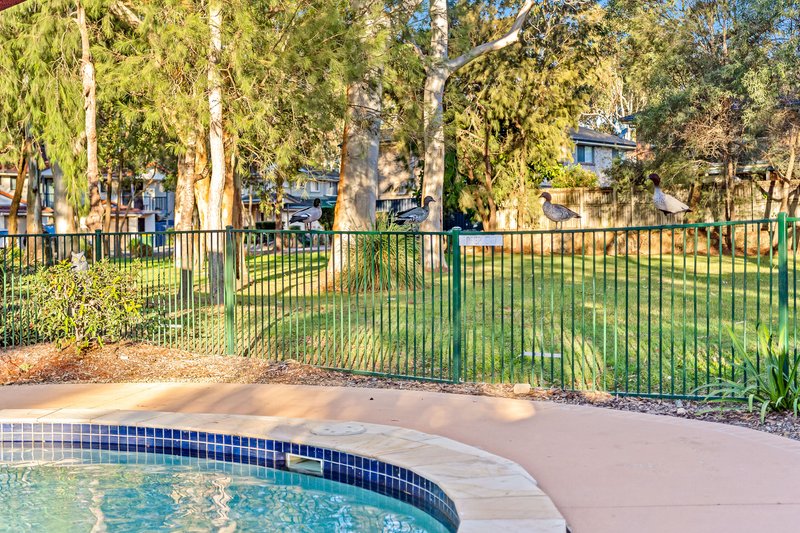 Photo - 91/333 Colburn Avenue Of , Victoria Point QLD 4165 - Image 17