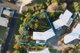 Photo - 9/150 Wilmot Street, Port Sorell TAS 7307 - Image 17