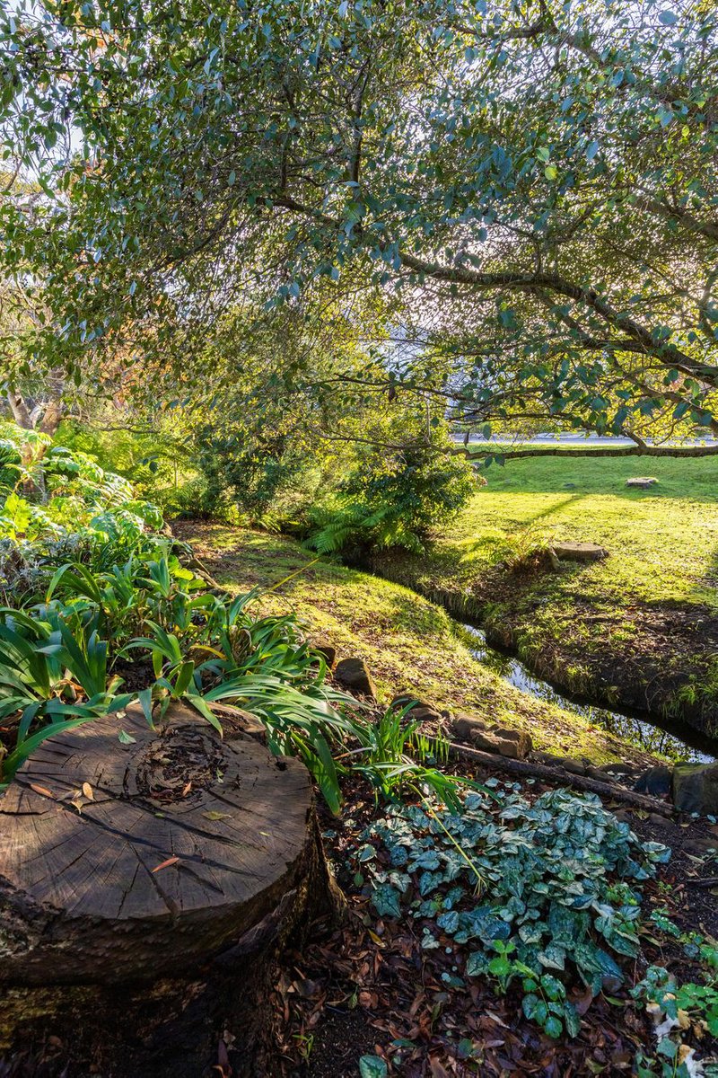 Photo - 9/150 Wilmot Street, Port Sorell TAS 7307 - Image 18