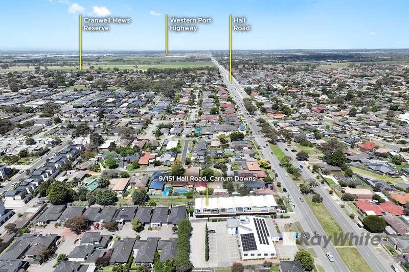 Photo - 9/151 Hall Road, Carrum Downs VIC 3201 - Image 16