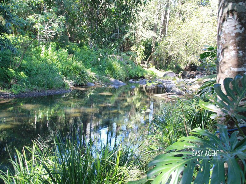 Photo - 917 Green Pigeon Road, Kyogle NSW 2474 - Image 20