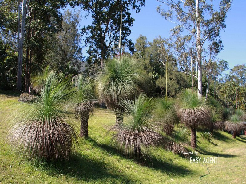 Photo - 917 Green Pigeon Road, Kyogle NSW 2474 - Image 25