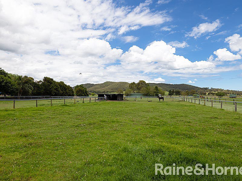 Photo - 918 Newline Road, Eagleton NSW 2324 - Image 5