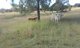 Photo - 919 Gatton Clifton Road, Ma Ma Creek QLD 4347 - Image 17