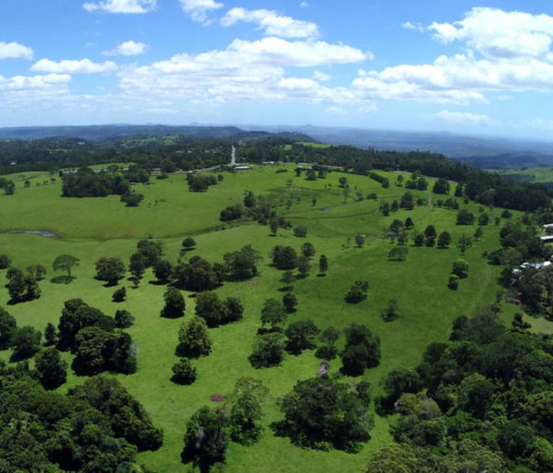 Photo - 919 Landsborough-Maleny Rd , Maleny QLD 4552 - Image 7