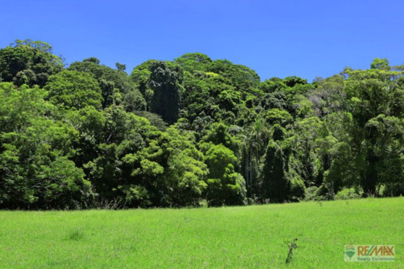 Photo - 919 Landsborough-Maleny Rd , Maleny QLD 4552 - Image 8