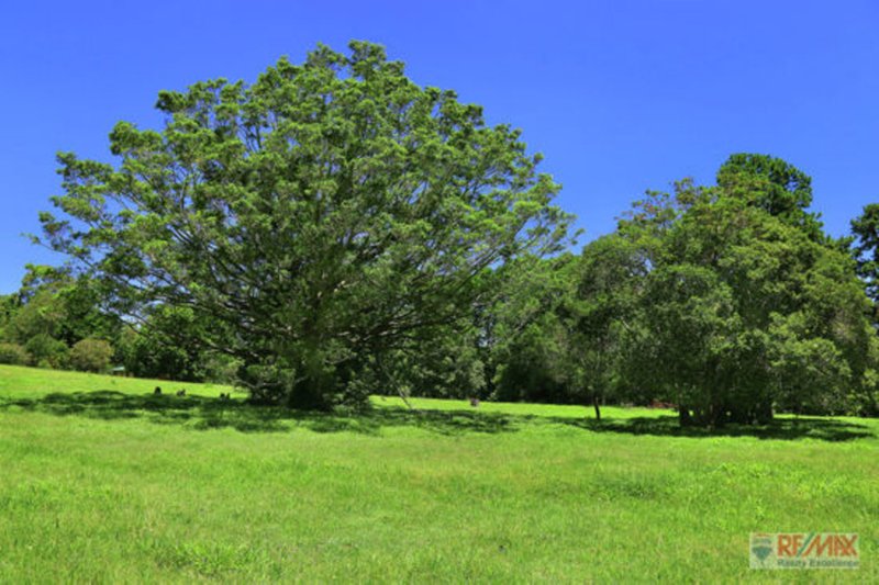 Photo - 919 Landsborough-Maleny Rd , Maleny QLD 4552 - Image 9