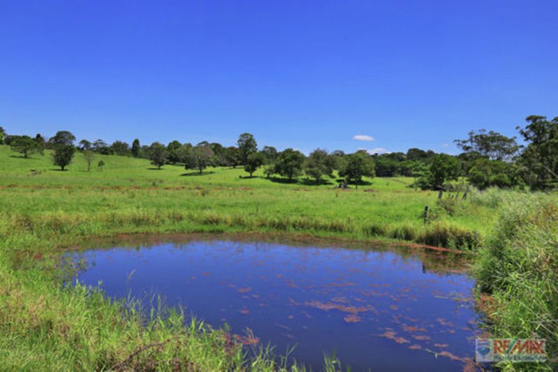 Photo - 919 Landsborough-Maleny Rd , Maleny QLD 4552 - Image 10