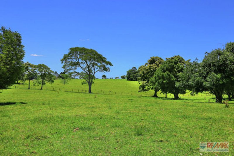 Photo - 919 Landsborough-Maleny Rd , Maleny QLD 4552 - Image 11