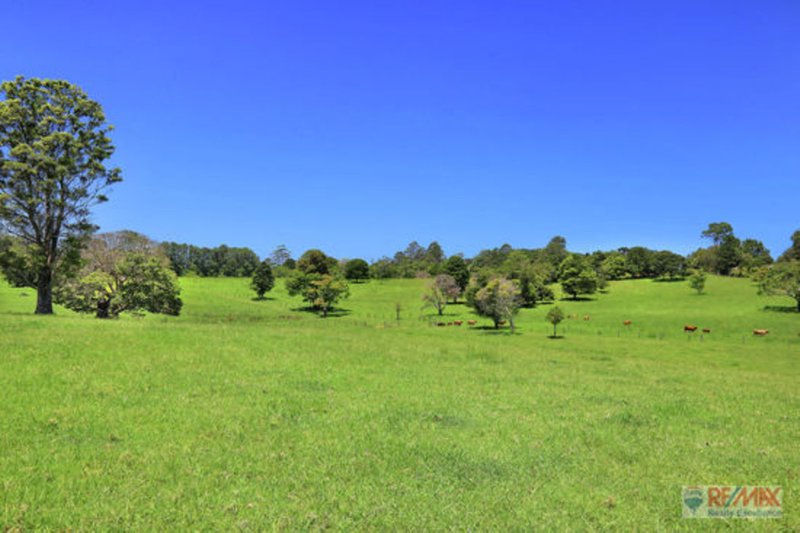 Photo - 919 Landsborough-Maleny Rd , Maleny QLD 4552 - Image 13