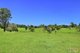 Photo - 919 Landsborough-Maleny Rd , Maleny QLD 4552 - Image 13