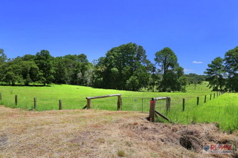 Photo - 919 Landsborough-Maleny Rd , Maleny QLD 4552 - Image 14