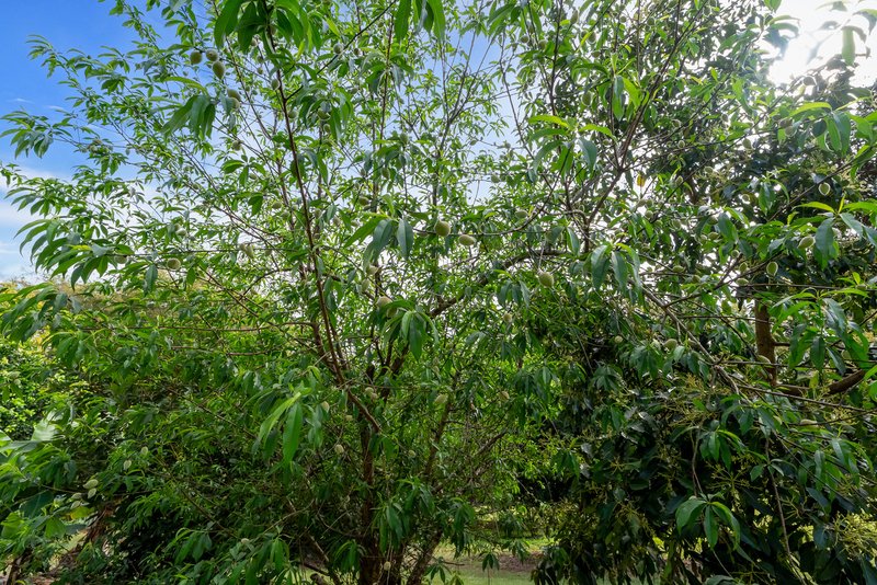 Photo - 92-94 Canecutter Road, Edmonton QLD 4869 - Image 16