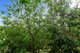 Photo - 92-94 Canecutter Road, Edmonton QLD 4869 - Image 16