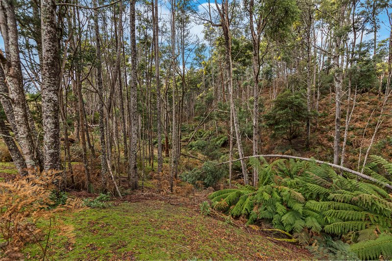 Photo - 92 Camerons Road, Underwood TAS 7268 - Image 15