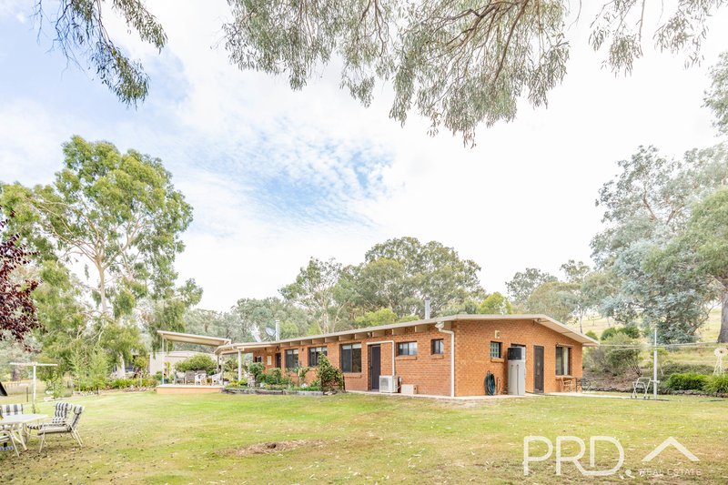 Photo - 92 Lowthers Lane, Mundongo NSW 2720 - Image 20