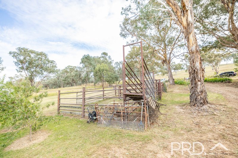 Photo - 92 Lowthers Lane, Mundongo NSW 2720 - Image 25