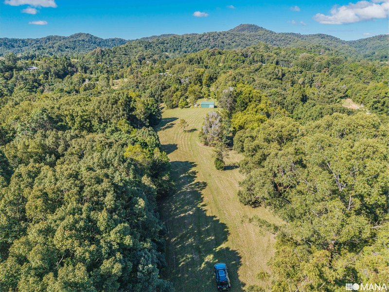 Photo - 92 Nolans Road, Stokers Siding NSW 2484 - Image 14