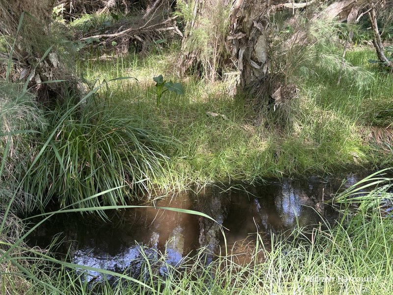 Photo - 92 Robinson Street, Gingin WA 6503 - Image 4