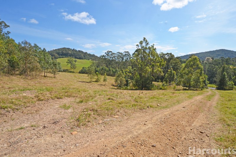 Photo - 927 Pappinbarra Road, Lower Pappinbarra NSW 2446 - Image 16