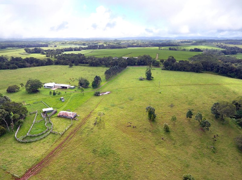 Photo - 928 Glen Allyn Road, Glen Allyn QLD 4885 - Image 22