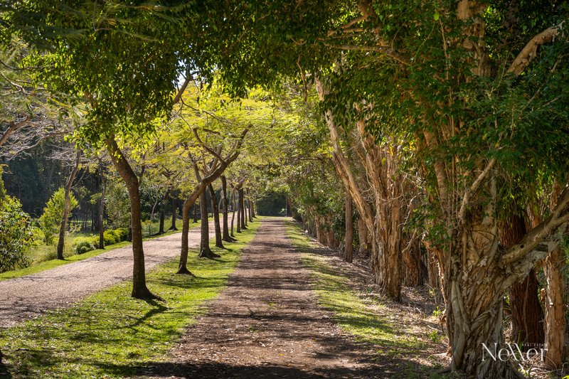 Photo - 93 Clarendon Road, Peregian Beach QLD 4573 - Image 4