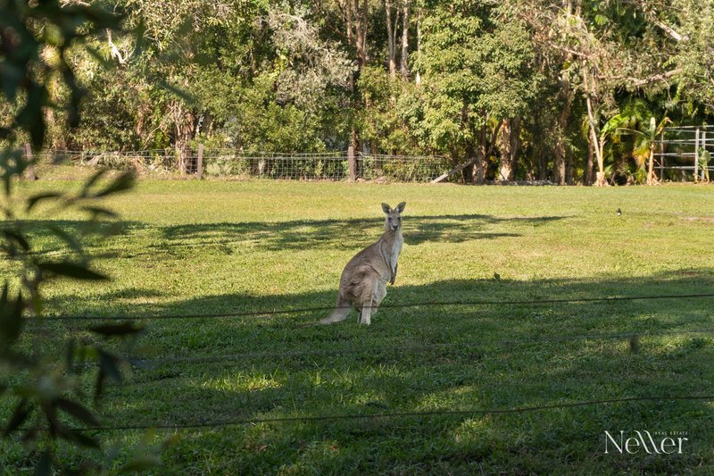 Photo - 93 Clarendon Road, Peregian Beach QLD 4573 - Image 18