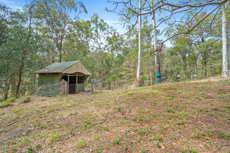 Photo - 93 Dollarbird Drive, Tamborine QLD 4270 - Image 22