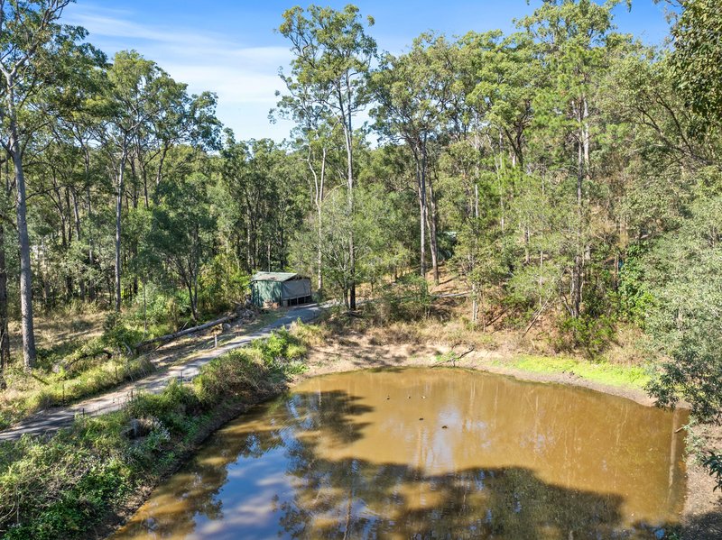 Photo - 93 Dollarbird Drive, Tamborine QLD 4270 - Image 23