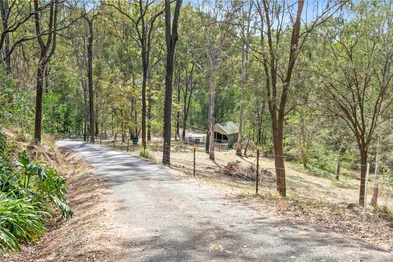 Photo - 93 Dollarbird Drive, Tamborine QLD 4270 - Image 24