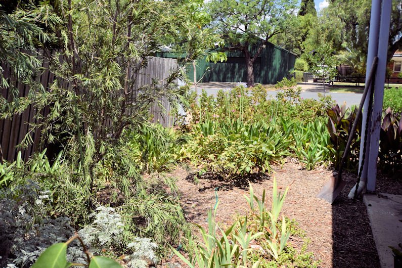 Photo - 93 Edwardes Street, Deniliquin NSW 2710 - Image 11