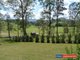 Photo - 93 Green Pigeon Road, Kyogle NSW 2474 - Image 15