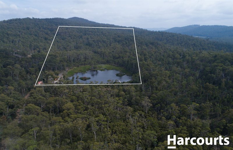 Photo - 93 Hodgetts Road, Rosevale TAS 7292 - Image 8