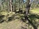 Photo - 93 Lansdowne Grove, North Arm Cove NSW 2324 - Image 4