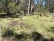 Photo - 93 Lansdowne Grove, North Arm Cove NSW 2324 - Image 5