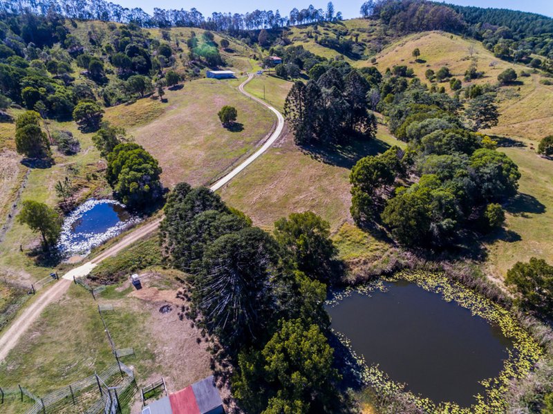 Photo - 93 Middle Creek Road, Federal QLD 4568 - Image 17