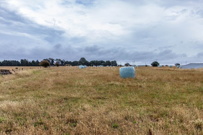 Photo - 93 Saundridge Road, Cressy TAS 7302 - Image 11