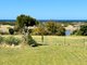 Photo - 93 Scamander Avenue, Scamander TAS 7215 - Image 4