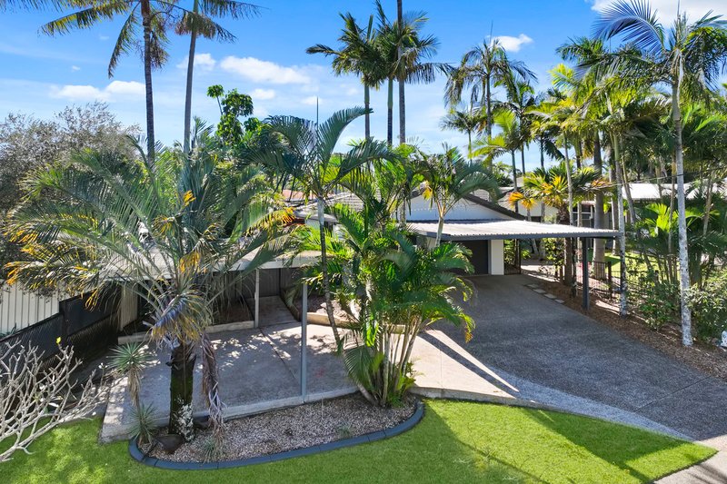 Photo - 93 Tallow Wood Drive, Kuluin QLD 4558 - Image 1