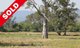 Photo - 93 Tumblong Road. , Tumblong NSW 2729 - Image 16