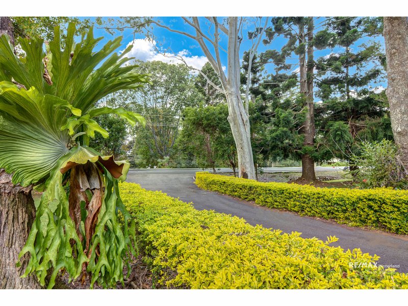 Photo - 932 Maleny-Montville Road, Balmoral Ridge QLD 4552 - Image 3