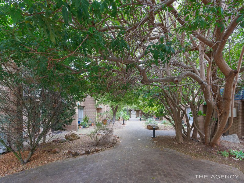 Photo - 9/323 Stirling Street, Highgate WA 6003 - Image 19