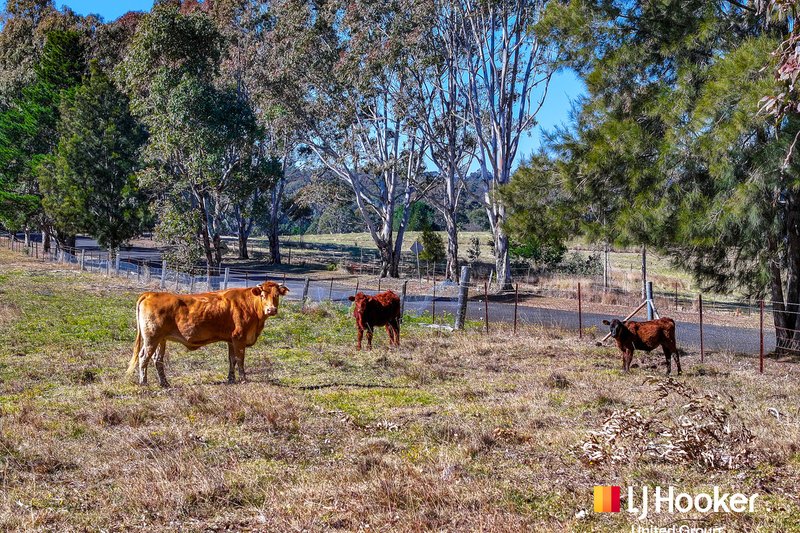 Photo - 933 Mulgoa Road, Mulgoa NSW 2745 - Image 12