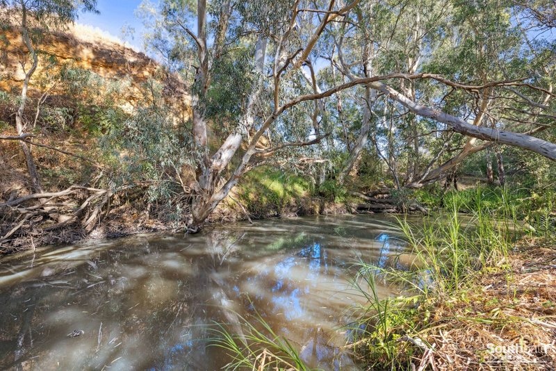 Photo - 938 Signal Flat Road, Finniss SA 5255 - Image 18