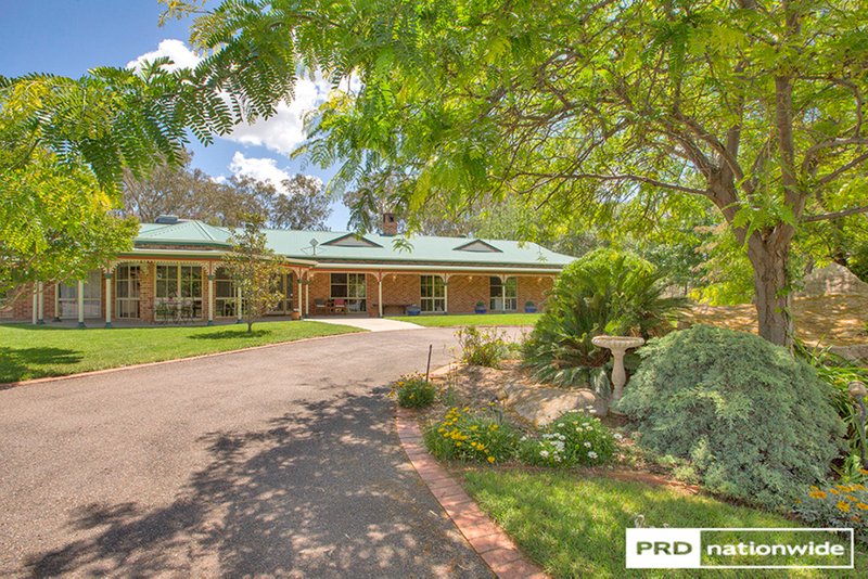 Photo - 939 Daruka Road, Tamworth NSW 2340 - Image 25