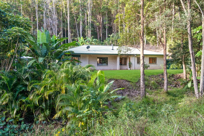 Photo - 93C Austinville Road, Austinville QLD 4213 - Image 21