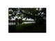 Photo - 94 Biggs Avenue, Beachmere QLD 4510 - Image 8