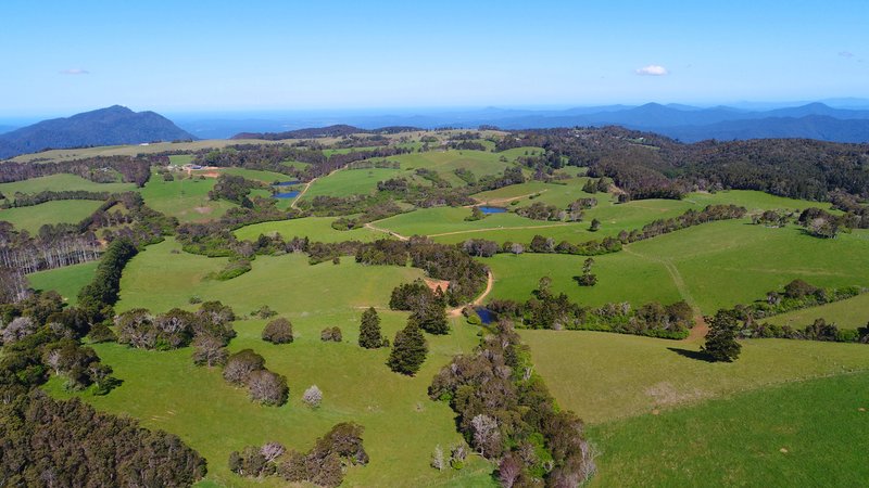 Photo - 94 Mountain Top Road, Dorrigo NSW 2453 - Image 2