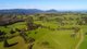 Photo - 94 Mountain Top Road, Dorrigo NSW 2453 - Image 3