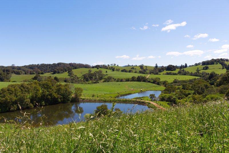 Photo - 94 Mountain Top Road, Dorrigo NSW 2453 - Image 9